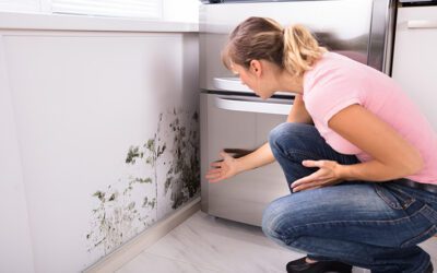Can You Safely Handle Mold Remediation Yourself?