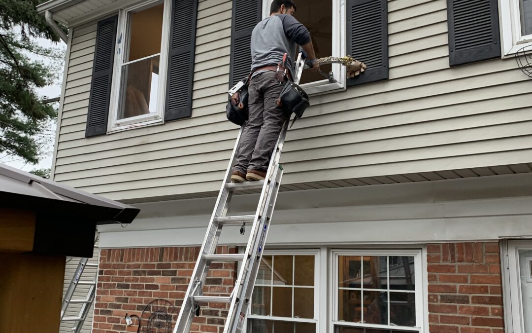Reasons to Replace Your Windows: A Homeowner’s Guide