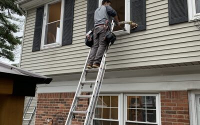 Reasons to Replace Your Windows: A Homeowner’s Guide