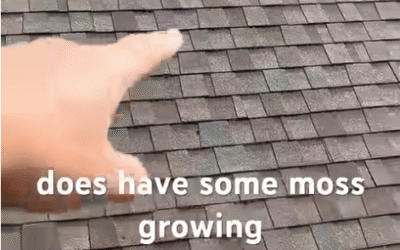 Granule Loss on Your Roof in Metro Detroit