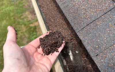 Why Granules on Asphalt Shingles Matter — And Why Granule Loss Is a Serious Problem for Homeowners in Romeo & Bruce Township, MI