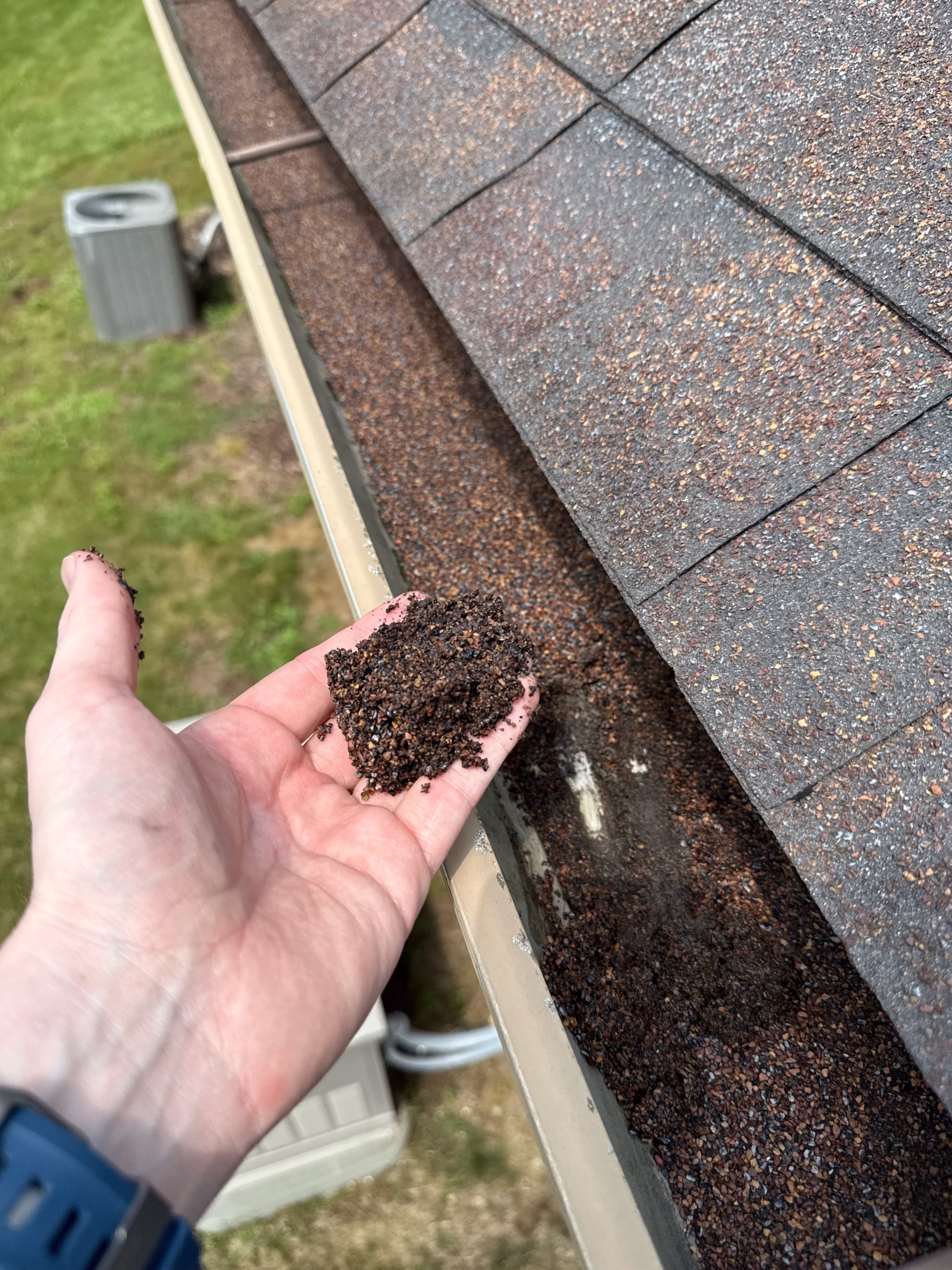 Granule Loss - Romeo, MI