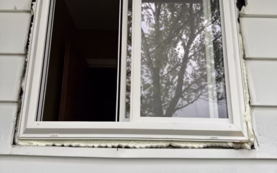 5 Signs You Need New Windows: A Homeowner’s Guide for Southeast Michigan