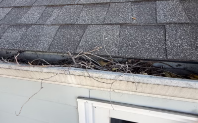 Why Regular Gutter Cleaning Is Important for Your Home