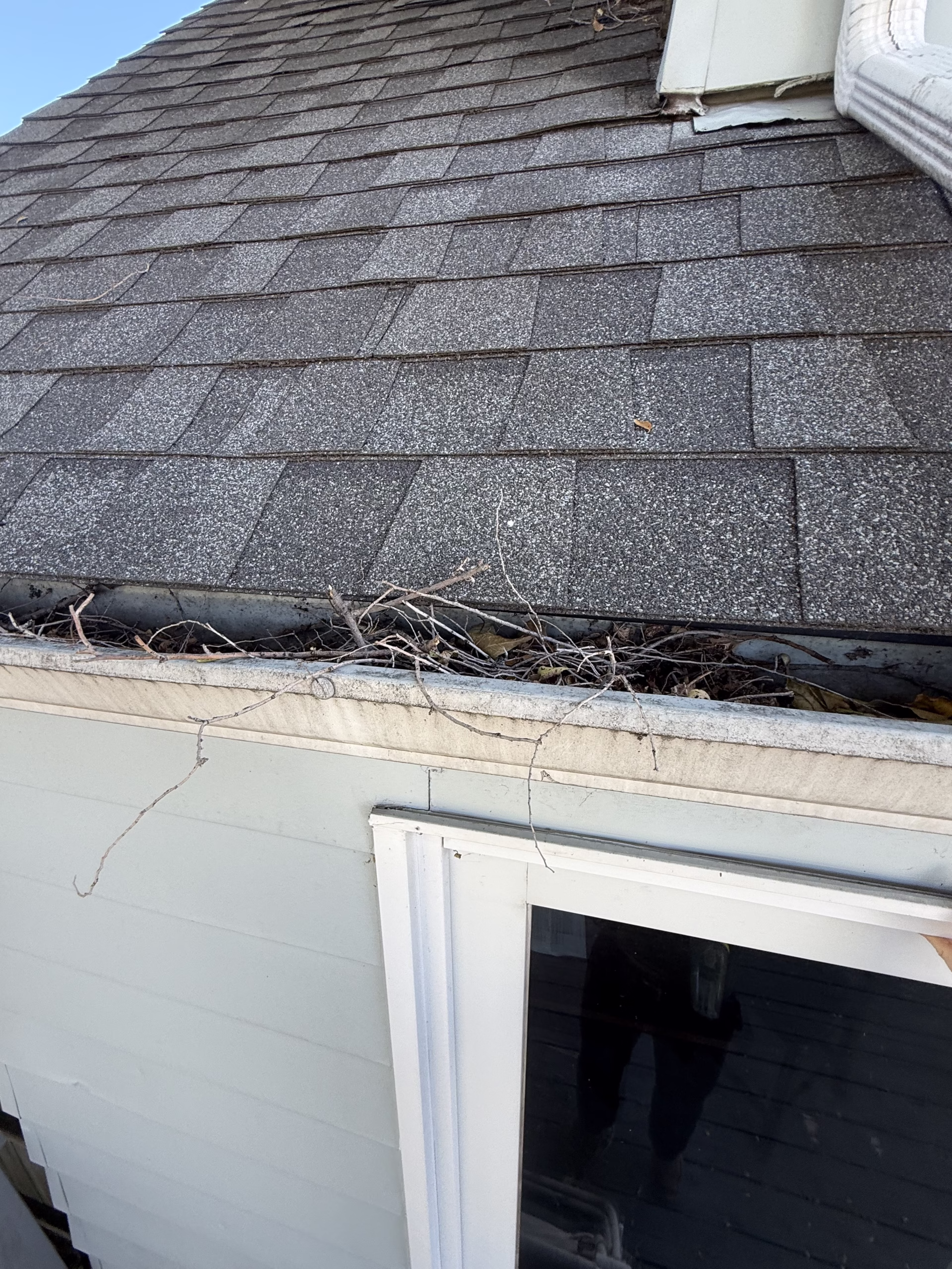 Level Up Improvement - Gutter Cleaning