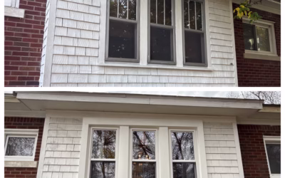 Do I Need New Windows in My Royal Oak, MI Home?