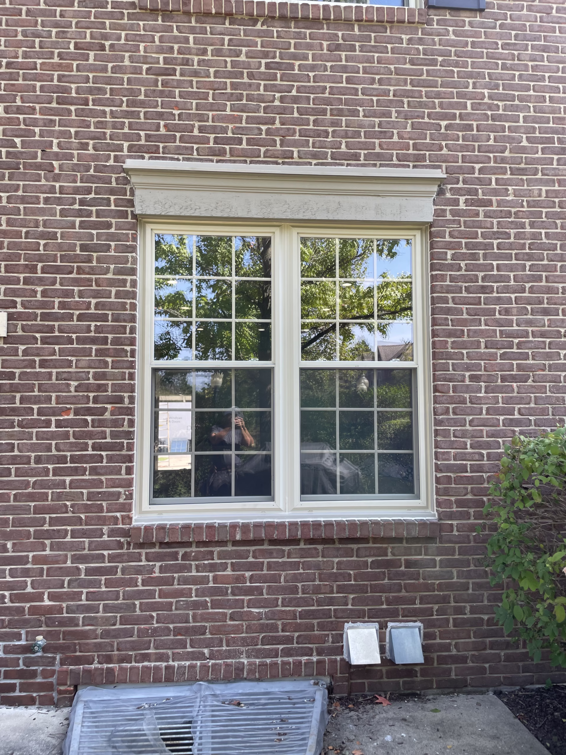 vinyl windows in royal oak